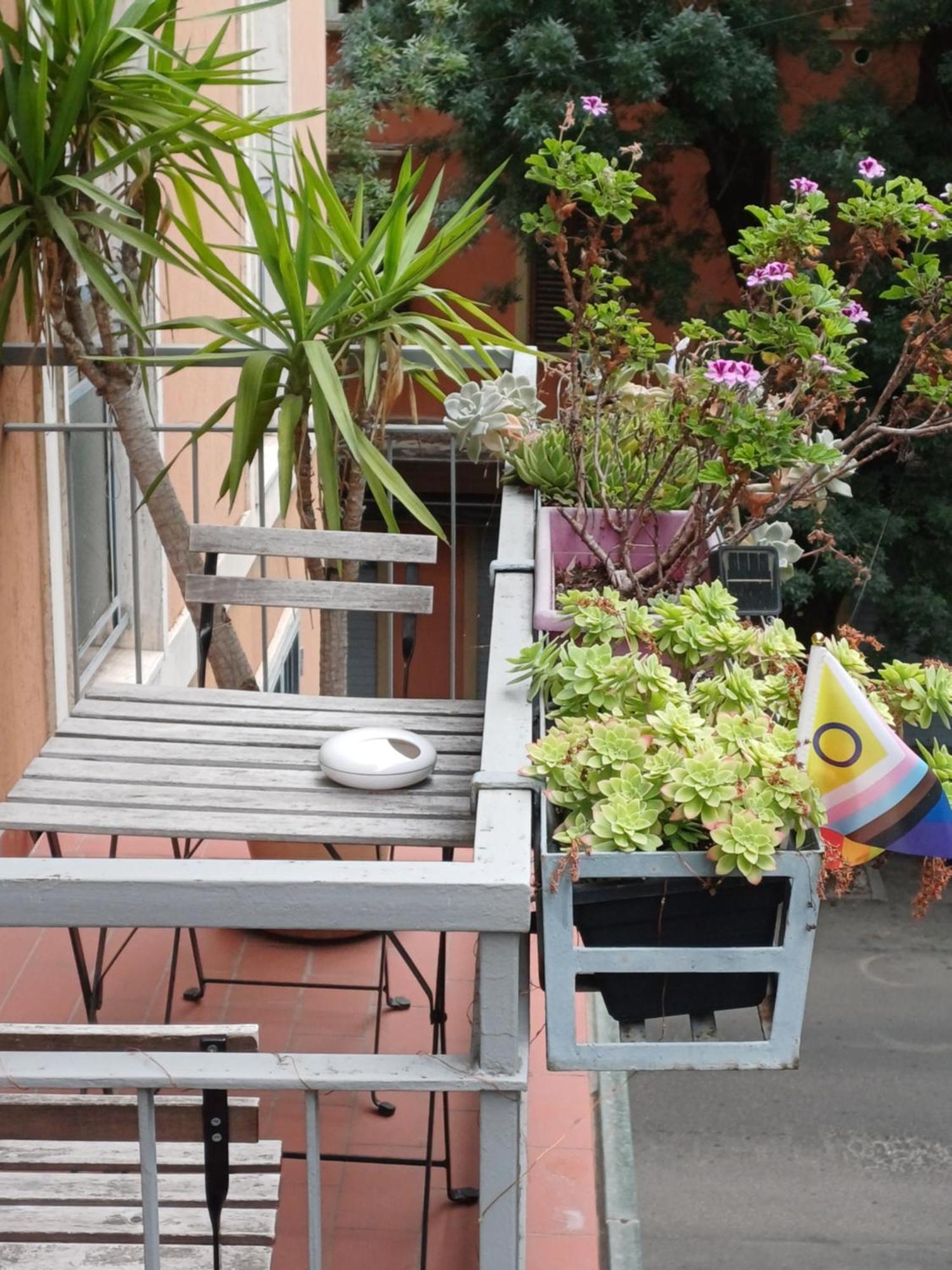 Casa Albert โบโลญญา ภายนอก รูปภาพ